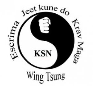 Logo Kampfkunstschulen NORD